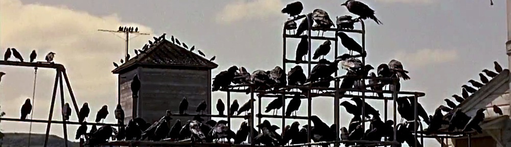 Alfred's avian associates of the Apocalypse.